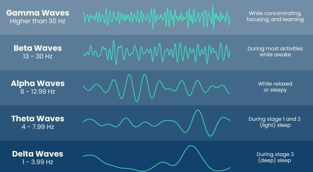 brainwave